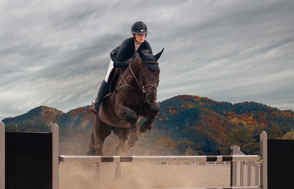 Le monde équestre a ses usages : Maitre Dannequin accompagne professionnels comme particuliers en cas d'accident de cheval ou de litige Le monde équestre a ses usages : Maitre Dannequin accompagne professionnels comme particuliers en cas d'accident de cheval ou de litige